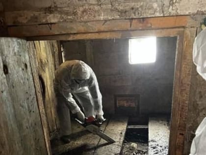 В Чувашии в ближайшее время снимут карантин по сибирской язве