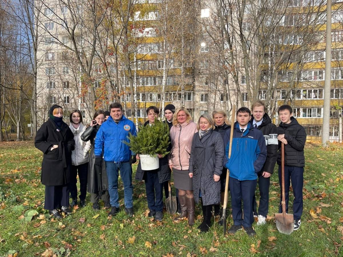 Чеб новости сегодня. Сурский рубеж в Чувашии. Сурский оборонительный рубеж Чувашия. Дерево памяти акция. Чебоксары.