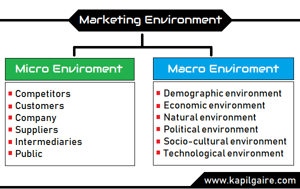 micro macro and market environment essay