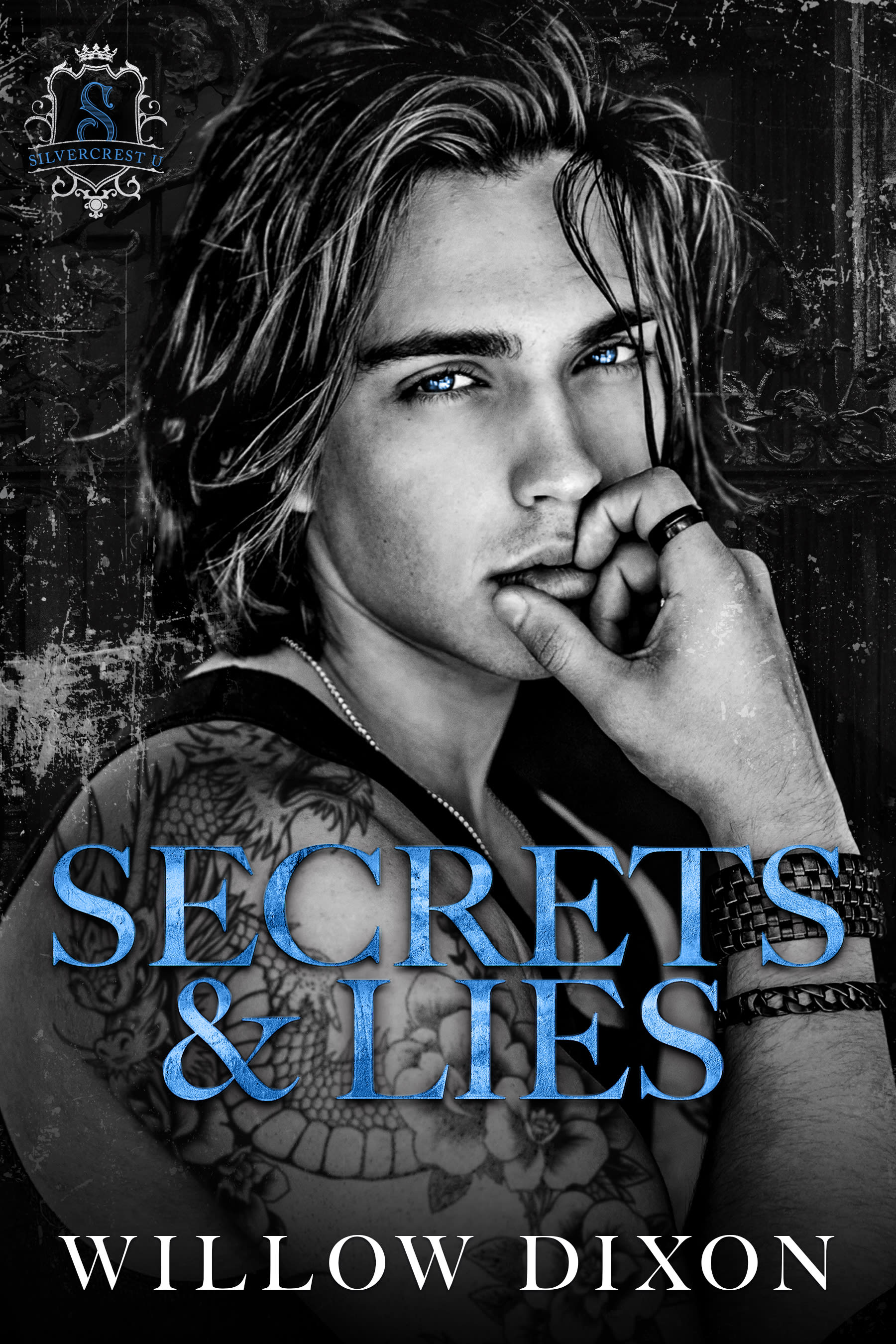 Secrets and Lies by Willow Dixon - MM Dark College Romance book cover