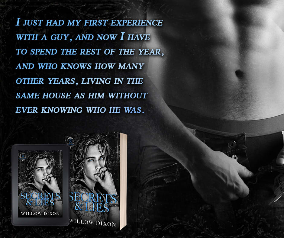 Secrets and Lies by Willow Dixon - promo graphic