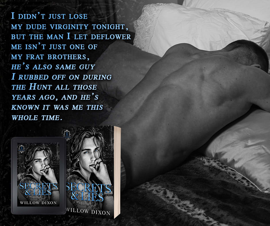 Secrets & Lies by Willow Dixon - promo graphic