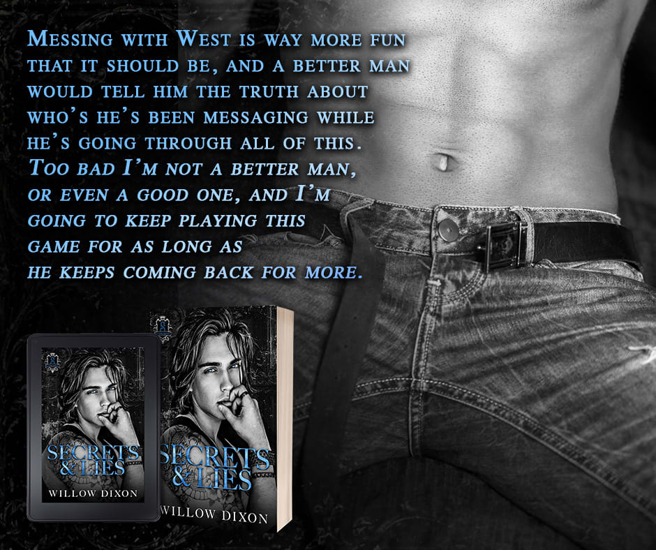 Secrets & Lies by Willow Dixon - promo graphic
