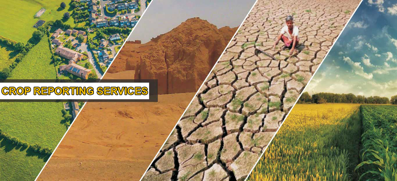 Crop assessment activity for seasonal production monitoring