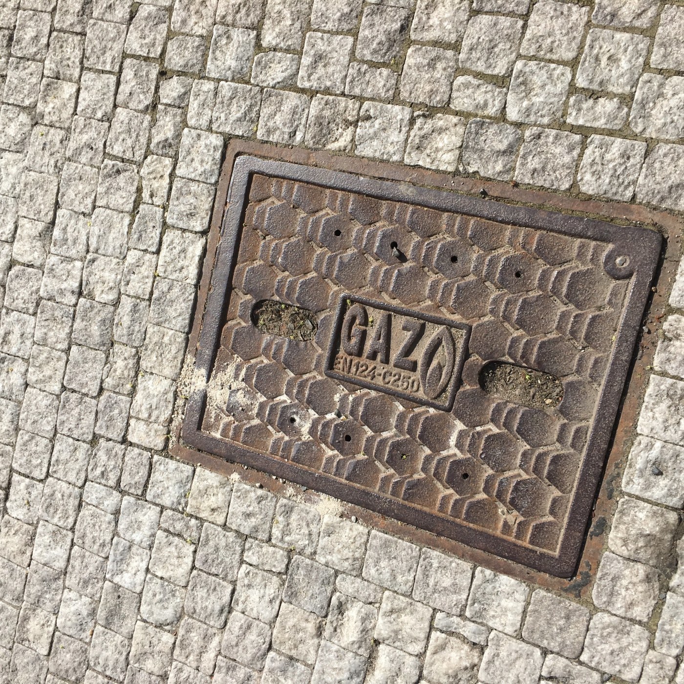 Hustá síť šestiúhelníkových výstupků pokrývá povrch tohoto železného exempláře, který je zasazen do světlé dlažby z kame in Praha, Czechia — CoverSpot