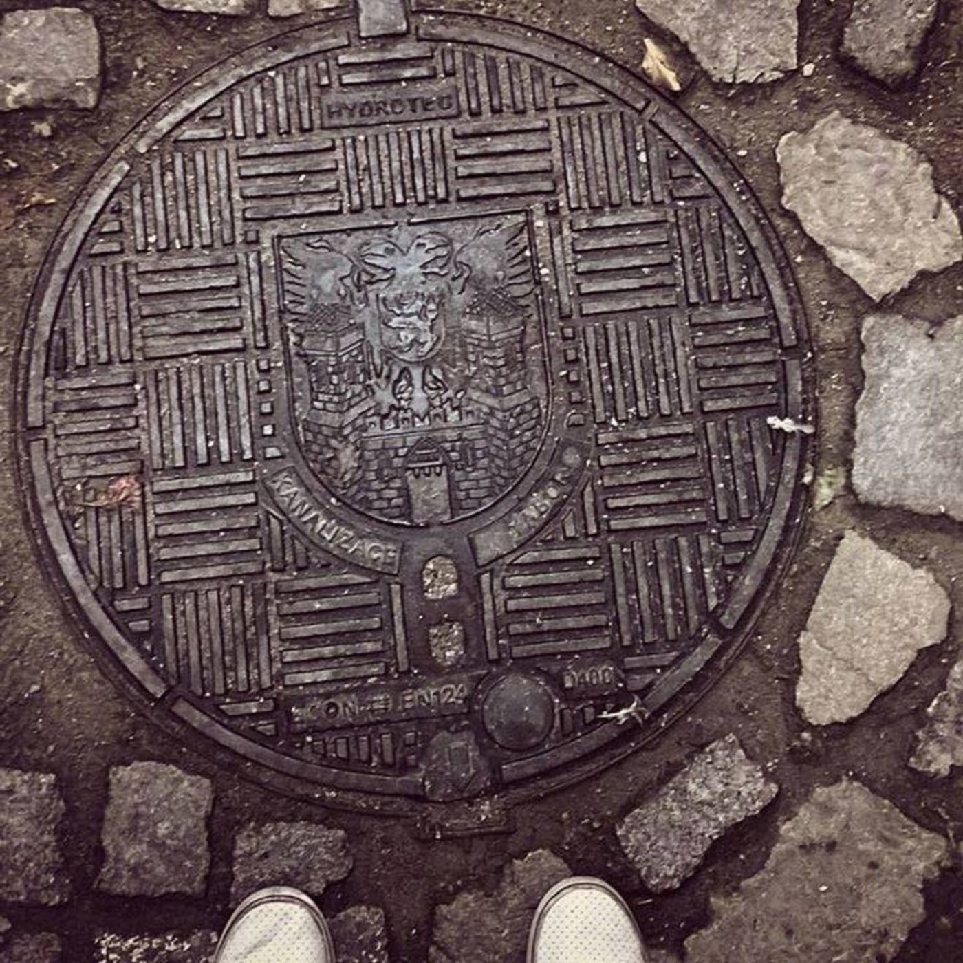 Na povrchu tohoto kovového disku se rozprostírá složitý geometrický vzor, který obklopuje centrální heraldický motiv. Te in Tábor, Czechia — CoverSpot