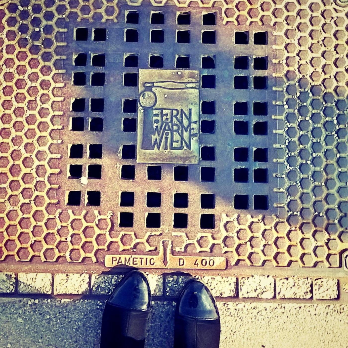 Mřížka čtvercových otvorů dominuje centrální ploše tohoto exempláře, orámovaná opakujícím se šestiúhelníkovým motivem, c in Vienna, Austria — CoverSpot