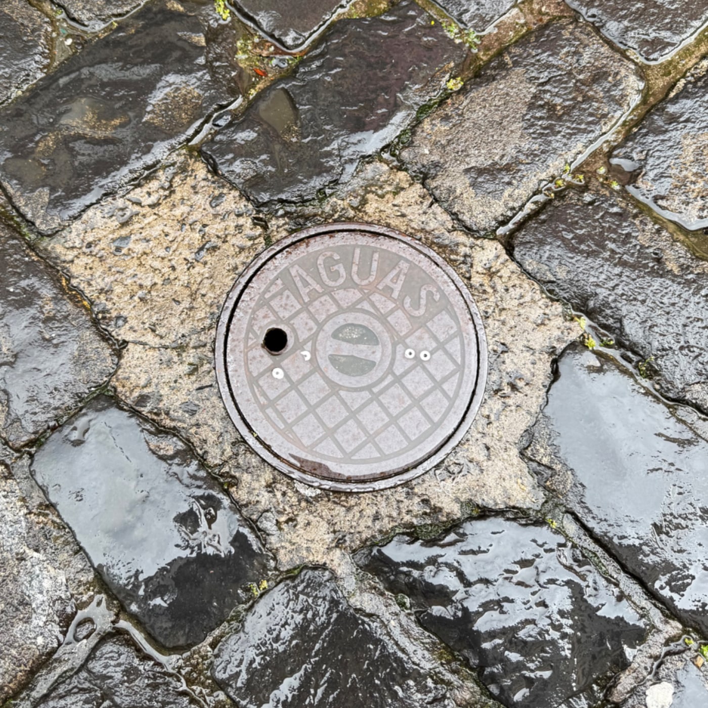 Uprostřed mokré dlažby z kočičích hlav je kruhový poklop. Na jeho povrchu je výrazný nápis AGUAS a symbol kapky vody, ob in Santa Luzia, Madeira, Portugal — CoverSpot