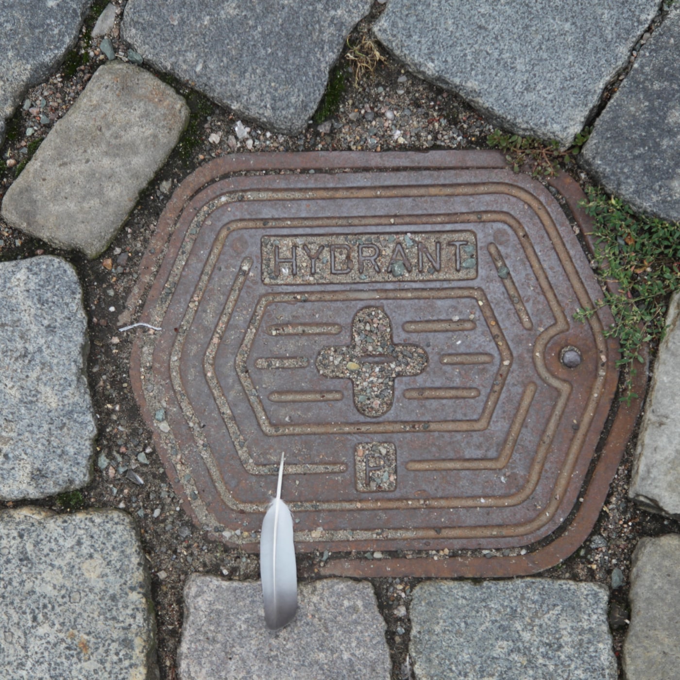 Na tomto exempláři je patrný šestiúhelníkový tvar, který se elegantně snoubí s okolní dlažbou z hrubých kamenů. Centráln in Hradec Králové, Czechia — CoverSpot