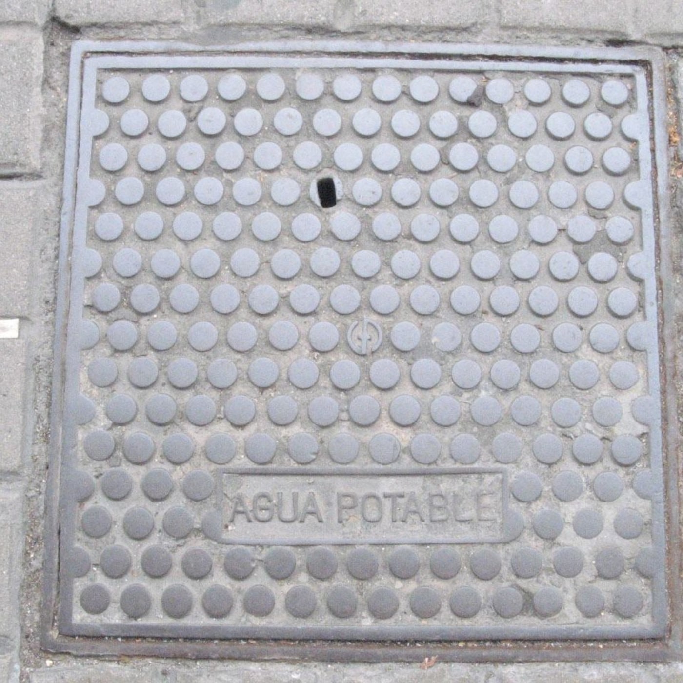 Povrch tohoto exempláře je pokryt pravidelnou mřížkou vyvýšených kruhových výstupků, což je design, který by mohl naznač in Barcelona, Catalonia, Spain — CoverSpot