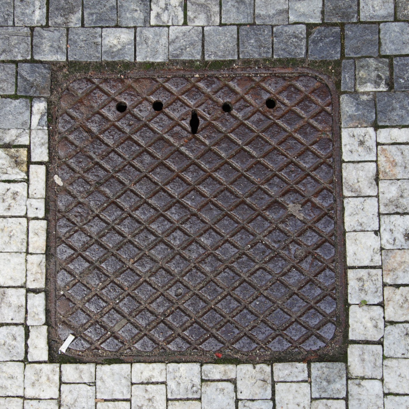 Na povrchu tohoto exempláře se rozprostírá robustní diamantový mřížkový vzor, který je charakteristický pro městskou inf in Hradec Králové, Czechia — CoverSpot
