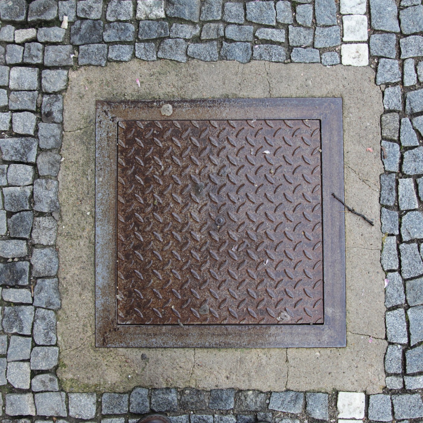 Pravidelný diamantový vzor na tomto exempláři poskytuje optimální trakci, což je klíčové pro jeho funkční integritu. Zře in Hradec Králové, Czechia — CoverSpot