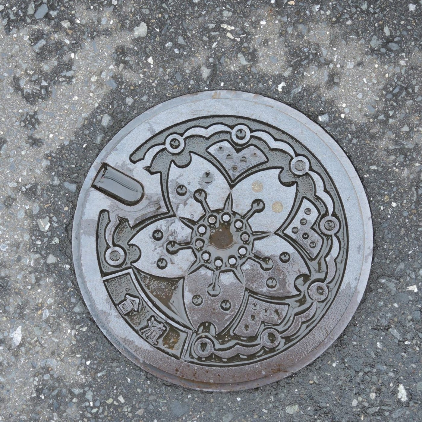 Na tomto exempláři kruhového poklopu dominuje detailní květinový motiv, připomínající stylizovaný třešňový květ, obklope in Tokyo, Japan — CoverSpot
