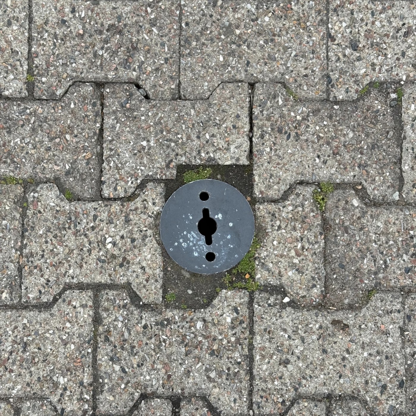 Na pozadí šedých betonových dlaždic, uspořádaných do vzoru připomínajícího kost, se nachází kruhová kovová deska. Tato d in Billund, South Denmark, Denmark — CoverSpot