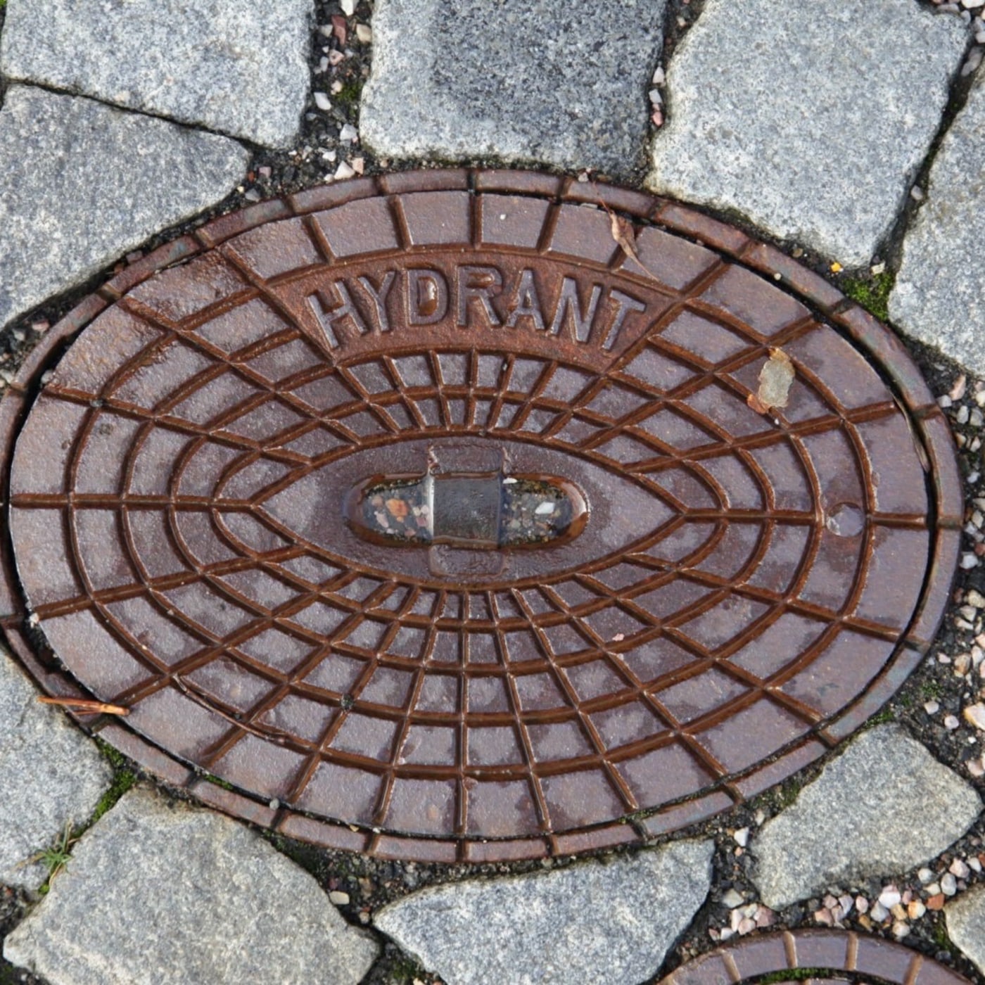 Hnědý litinový povrch tohoto exempláře je zdoben výrazným oválným mřížkovým vzorem, který obklopuje centrální obdélníkov — CoverSpot