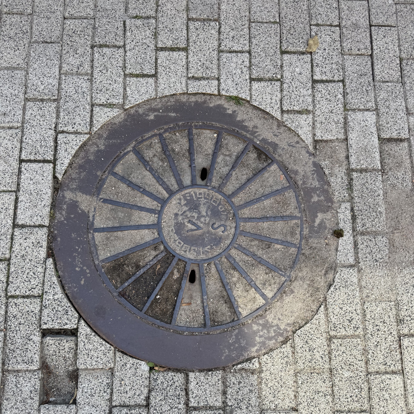 Kruhová mřížka s radiálními paprsky dominuje tomuto exempláři, obklopenému šedými dlažebními kostkami. V centrálním kruh in Rasos, Vilnius, Lithuania — CoverSpot