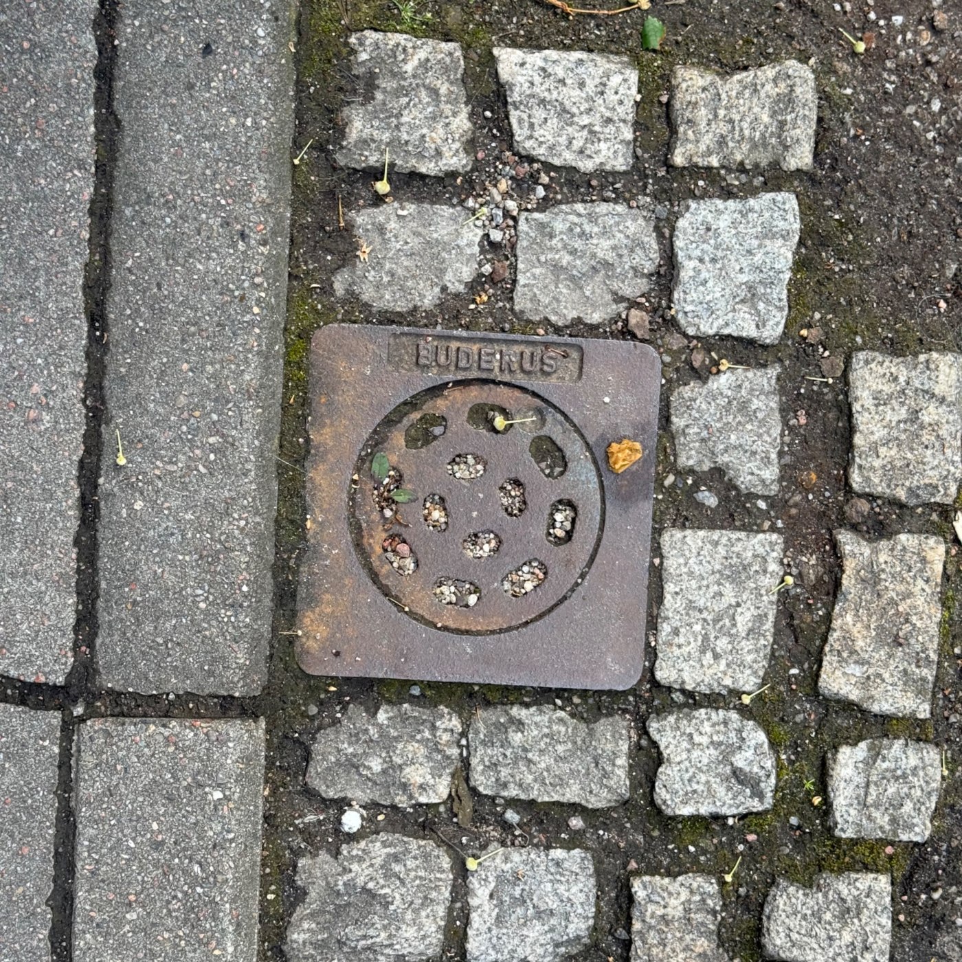 Zrezivělý čtvercový poklop s kruhovým roštem, částečně vyplněným kamínky a listím, nese výrazný nápis „BUDENUS“. Tento e in HafenCity, Free and Hanseatic City of Hamburg, Germany — CoverSpot