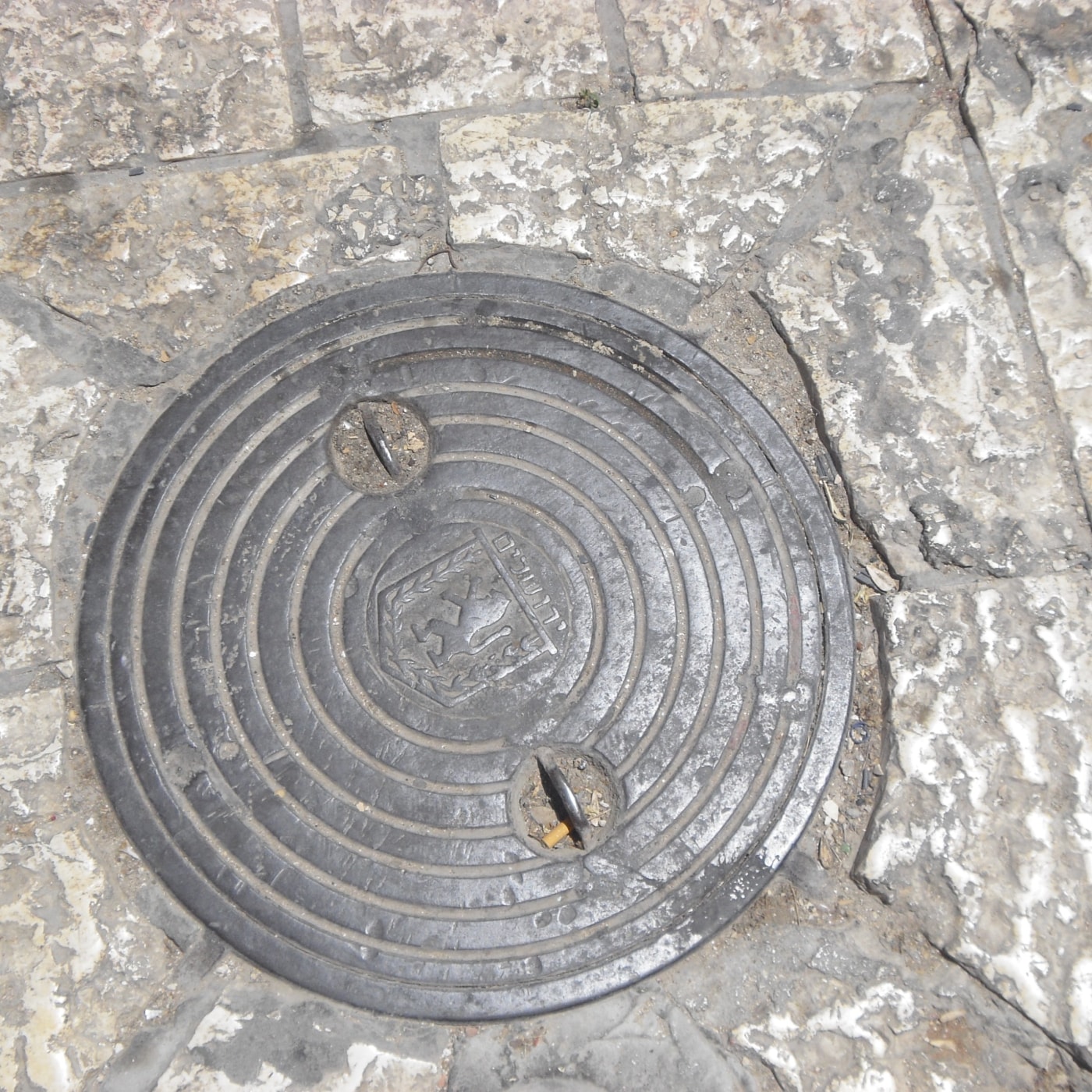 Soustředné kruhy na povrchu tohoto exempláře z litiny vedou pohled k centrálnímu erbu, který hrdě nese heraldického lva  in Jerusalem, Israel — CoverSpot