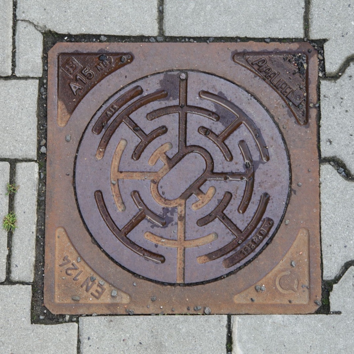 Na povrchu tohoto exempláře se rozprostírá složitý labyrintový vzor, který je charakteristický pro moderní inženýrské sí — CoverSpot