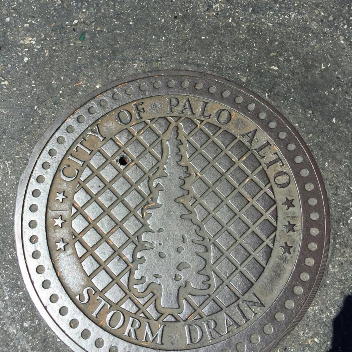 Uprostřed kruhového kovového povrchu dominuje stylizovaný obrys jehličnatého stromu, rozdělený na dvě poloviny mřížkovan in Palo Alto, United States — CoverSpot