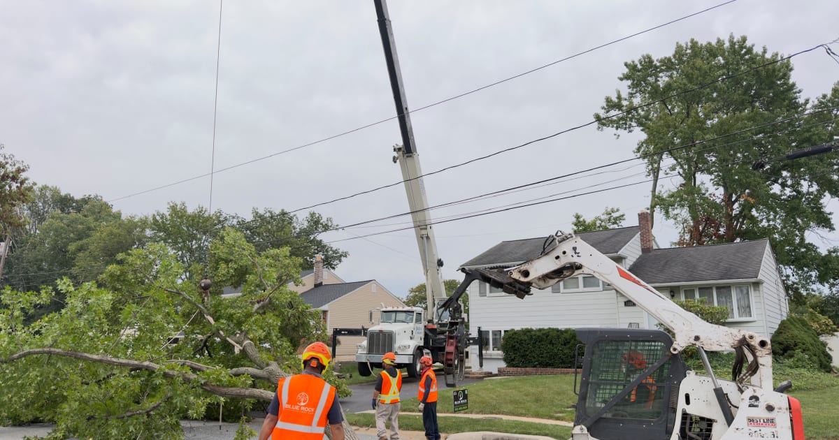 Blue Rock Tree Care crew removing a residential tree in Delaware during the leaf-off season