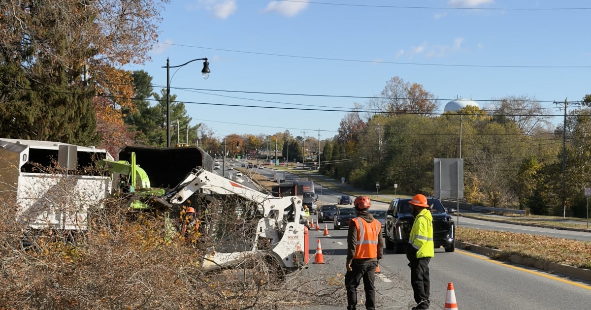 Blue Rock Tree Care crane lifting a tree section out of a busy Wilmington road during a DelDOT-permitted lane closure