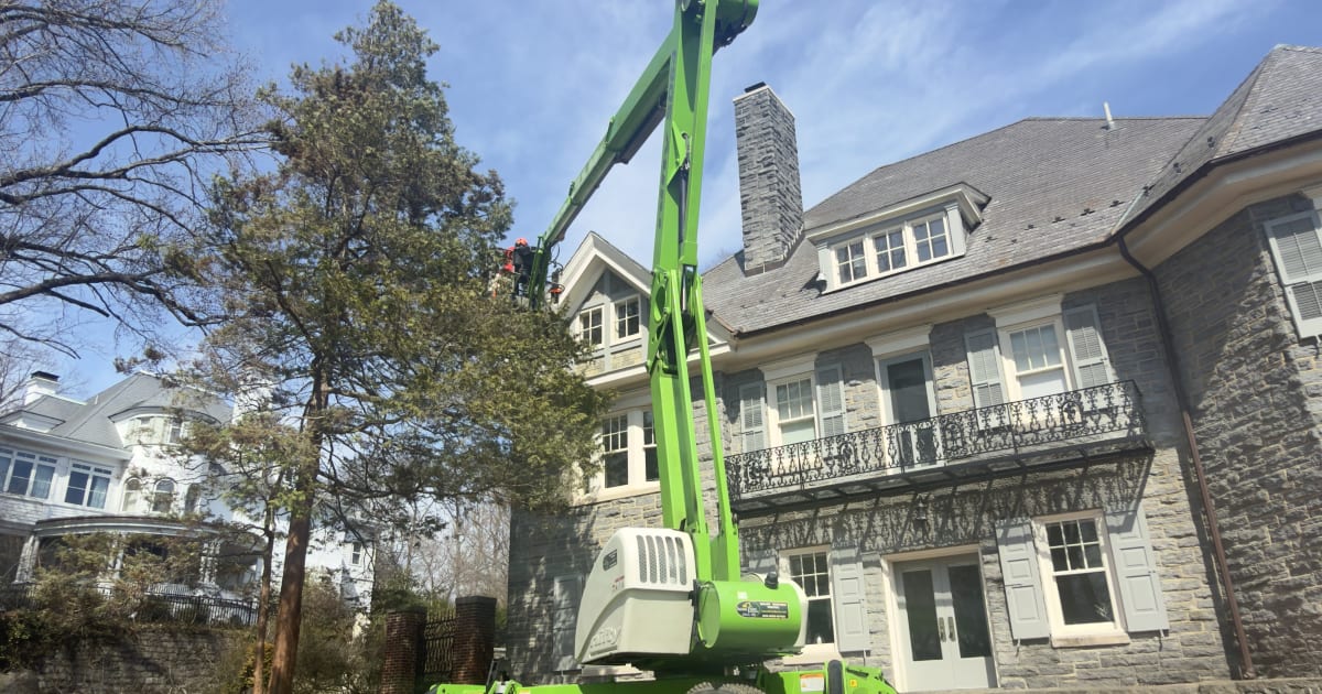 Blue Rock Tree Care's compact SD64 spider lift working in a narrow residential space between a home and a fence in Wilmington, Delaware