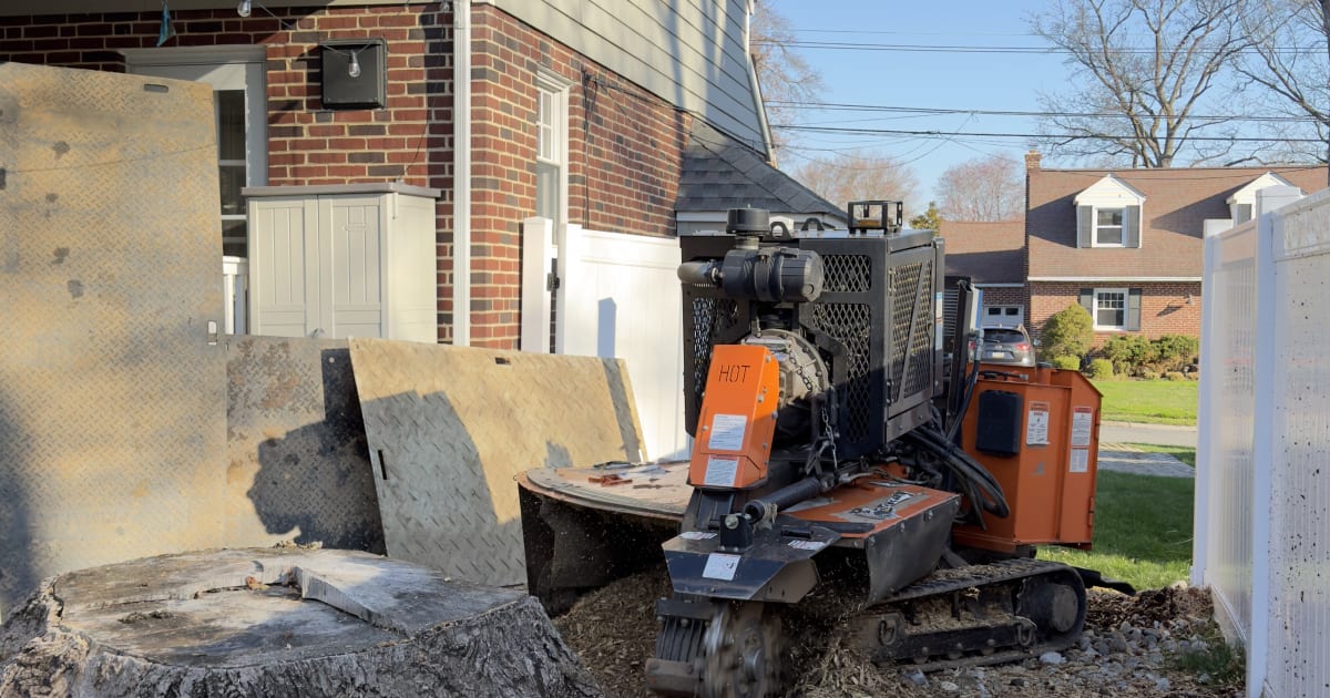 Blue Rock Tree Care grinding a large stump directly beside a home in Wilmington, Delaware, with protective boards shielding the siding and windows