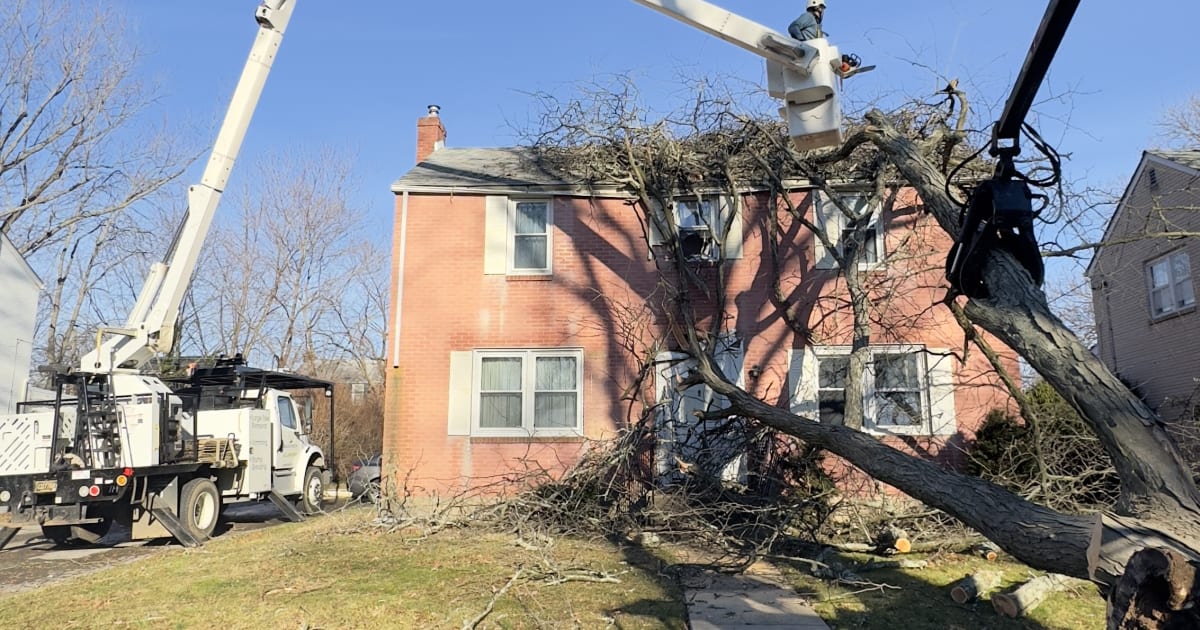 Storm-damaged tree resting on a Delaware home, the kind of hazard that should not wait for an off-season discount