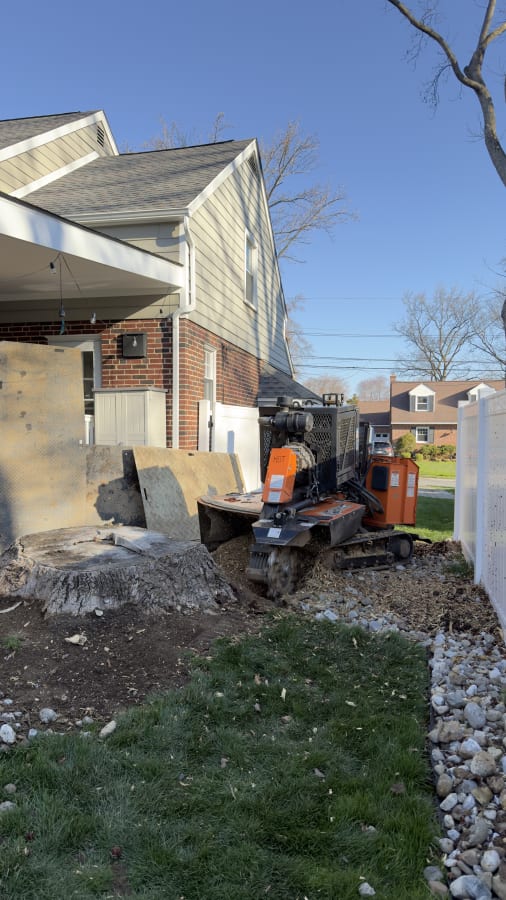 Large Stump Grinding Next to House With Property Protection - main view