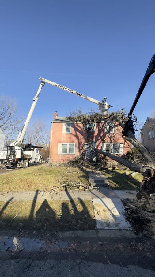 Storm Damage Cleanup