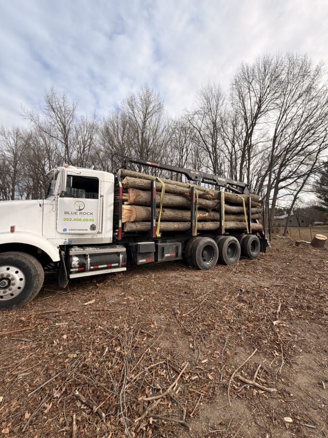 Commercial Land Clearing & Forestry Mulching for Development - main view