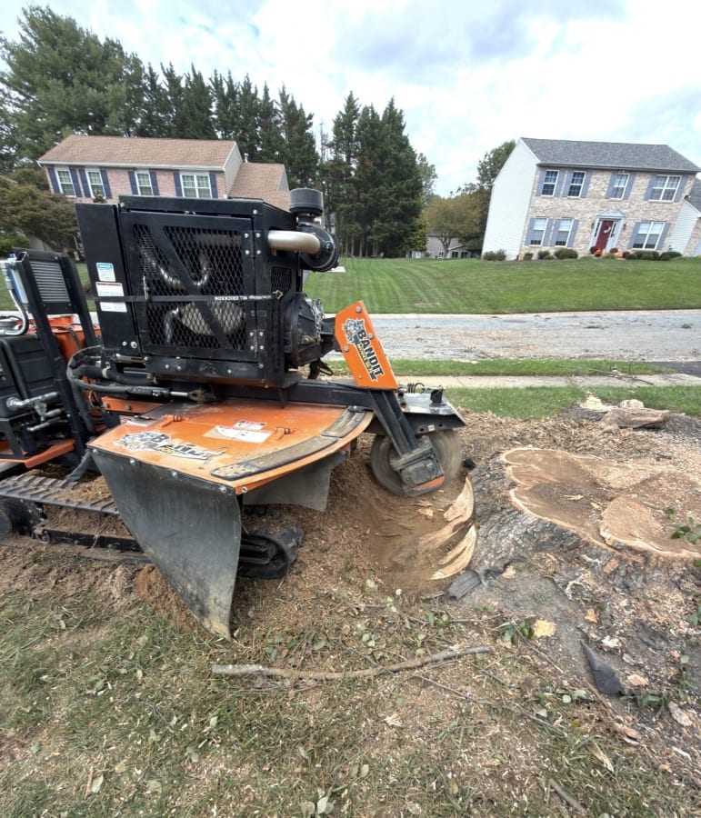 Stump Grinding