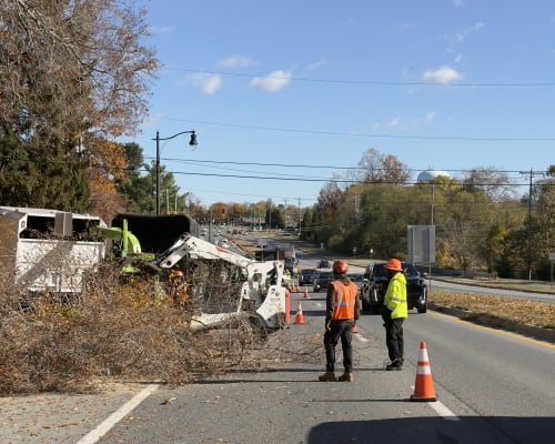 Crane-assisted tree removal in Wilmington