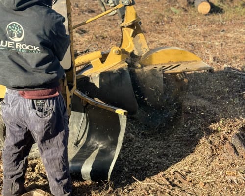 Property protection during stump grinding