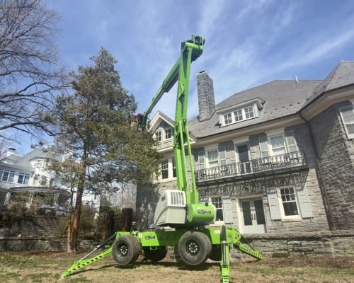 Low-Impact Tree Pruning in Tight Spaces With Compact Lift - detail view