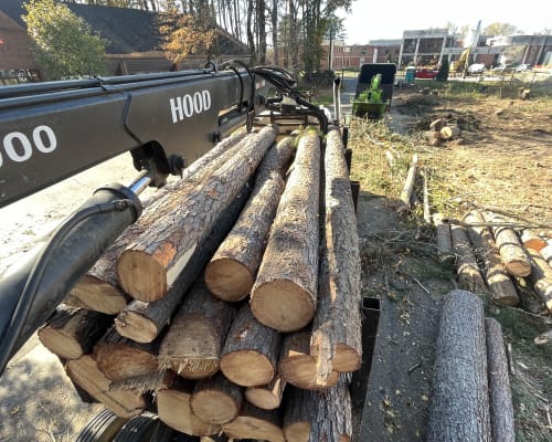 Forestry mulching operation