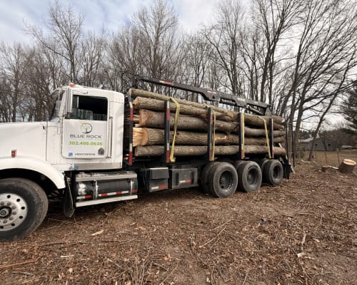 Commercial lot clearing in Delaware