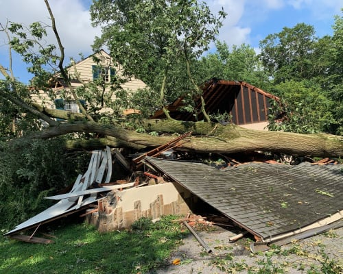Emergency Tree Removal From Structure After Storm Damage - detail view
