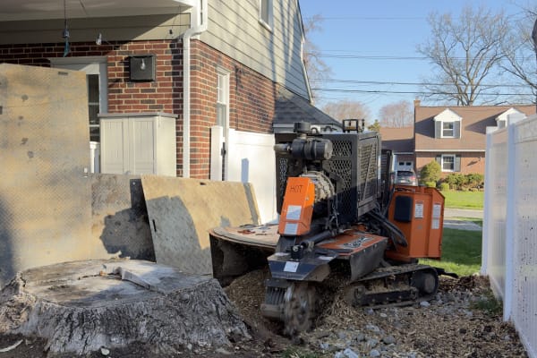 Stump Grinding vs. Stump Removal in Delaware: Costs, Pros & Cons (2026 Guide)