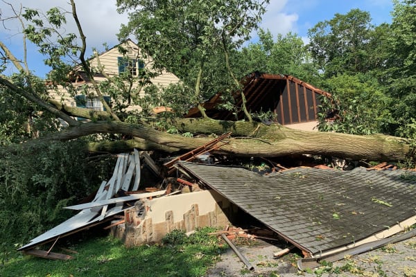 How to Prepare Your Trees for Delaware Storm Season: Complete 2026 Checklist