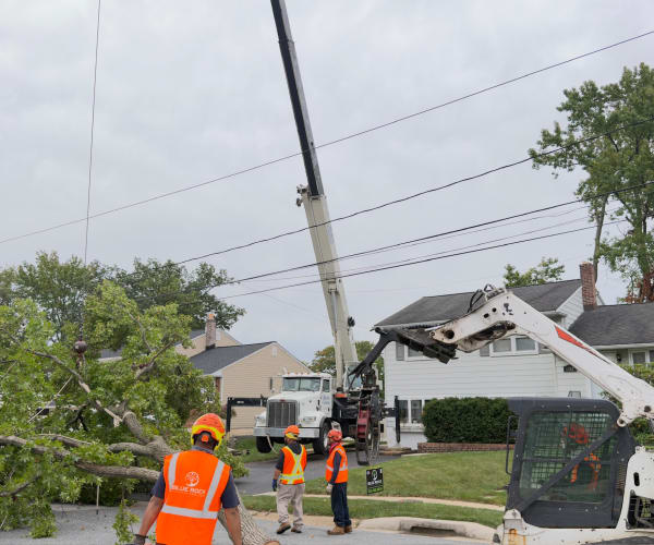 Residential Clearing
