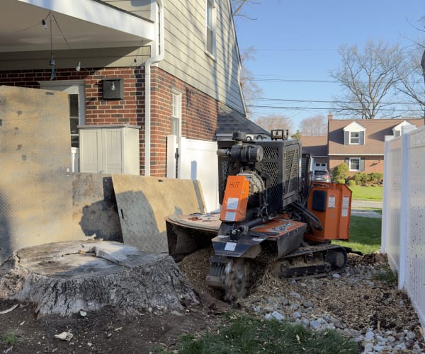 Residential Stump Grinding