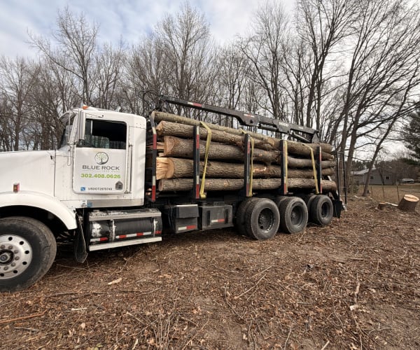 Commercial Land Clearing