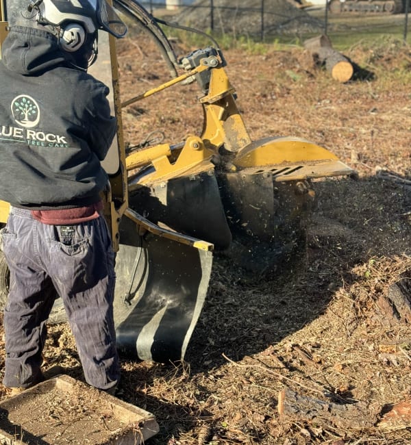 Large Stump Removal