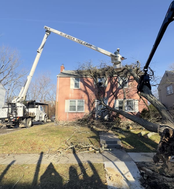 Spider-Lift Access