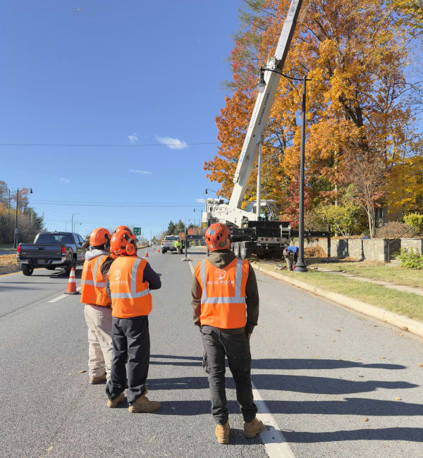 Crane-Assisted Removal