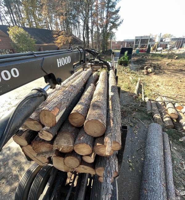 Forestry Mulching