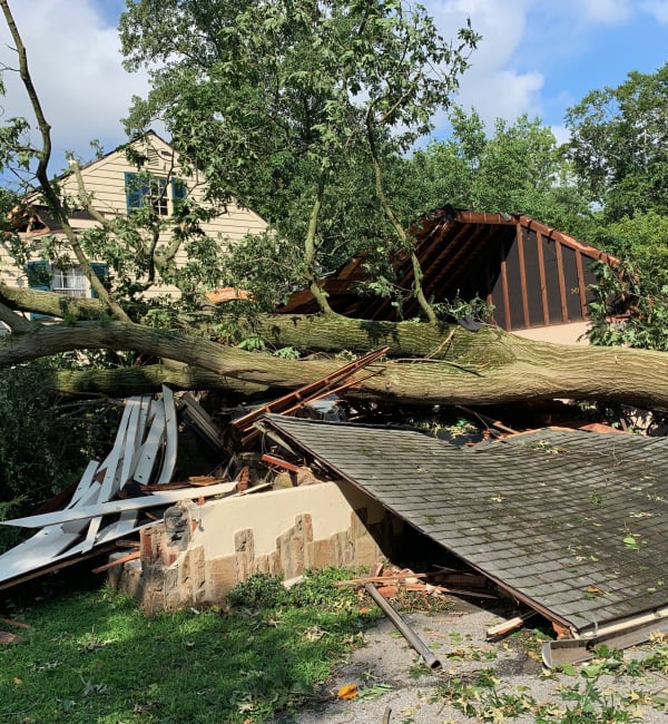 Roof & Structure Clearing