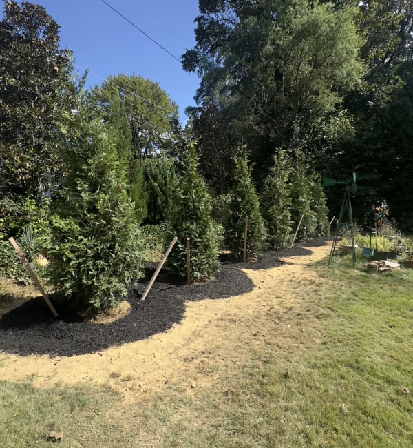 Privacy Tree Installation